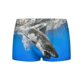Мужские трусы 3D с принтом Акула в Санкт-Петербурге, 50% хлопок, 50% полиэстер | классическая посадка, на поясе мягкая тканевая резинка | Тематика изображения на принте: shark | море | синий | челюсти