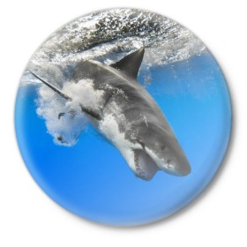 Значок с принтом Акула в Санкт-Петербурге,  металл | круглая форма, металлическая застежка в виде булавки | shark | море | синий | челюсти