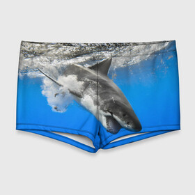 Мужские купальные плавки 3D с принтом Акула в Санкт-Петербурге, Полиэстер 85%, Спандекс 15% |  | shark | море | синий | челюсти