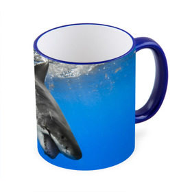Кружка 3D с принтом Акула в Санкт-Петербурге, керамика | ёмкость 330 мл | shark | море | синий | челюсти