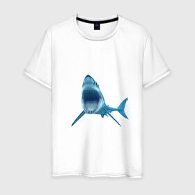 Мужская футболка хлопок с принтом Акула в Санкт-Петербурге, 100% хлопок | прямой крой, круглый вырез горловины, длина до линии бедер, слегка спущенное плечо. | shark | челюсти