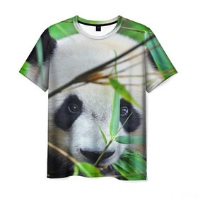 Мужская футболка 3D с принтом Панда в лесу в Санкт-Петербурге, 100% полиэфир | прямой крой, круглый вырез горловины, длина до линии бедер | бамбук | животное | медведь