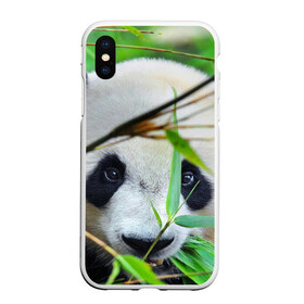 Чехол для iPhone XS Max матовый с принтом Панда в лесу в Санкт-Петербурге, Силикон | Область печати: задняя сторона чехла, без боковых панелей | Тематика изображения на принте: бамбук | животное | медведь