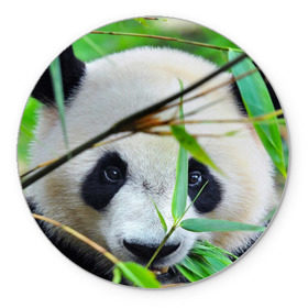 Коврик круглый с принтом Панда в лесу в Санкт-Петербурге, резина и полиэстер | круглая форма, изображение наносится на всю лицевую часть | бамбук | животное | медведь