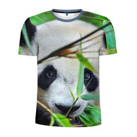 Мужская футболка 3D спортивная с принтом Панда в лесу в Санкт-Петербурге, 100% полиэстер с улучшенными характеристиками | приталенный силуэт, круглая горловина, широкие плечи, сужается к линии бедра | бамбук | животное | медведь