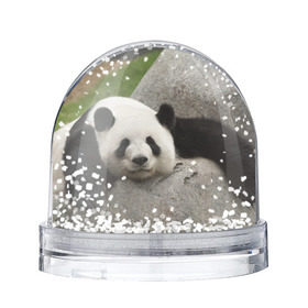 Снежный шар с принтом Панда на камушке в Санкт-Петербурге, Пластик | Изображение внутри шара печатается на глянцевой фотобумаге с двух сторон | бамбук | животное | медведь