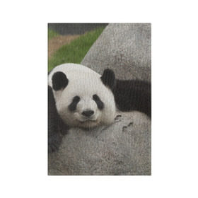 Обложка для паспорта матовая кожа с принтом Панда на камушке в Санкт-Петербурге, натуральная матовая кожа | размер 19,3 х 13,7 см; прозрачные пластиковые крепления | бамбук | животное | медведь
