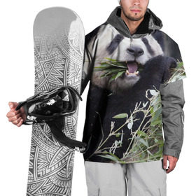 Накидка на куртку 3D с принтом Панда кушает в Санкт-Петербурге, 100% полиэстер |  | бамбук | животное | медведь