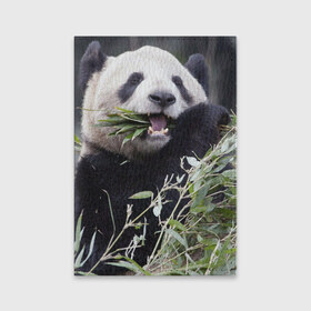 Обложка для паспорта матовая кожа с принтом Панда кушает в Санкт-Петербурге, натуральная матовая кожа | размер 19,3 х 13,7 см; прозрачные пластиковые крепления | бамбук | животное | медведь