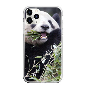 Чехол для iPhone 11 Pro матовый с принтом Панда кушает в Санкт-Петербурге, Силикон |  | бамбук | животное | медведь