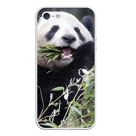 Чехол для iPhone 5/5S матовый с принтом Панда кушает в Санкт-Петербурге, Силикон | Область печати: задняя сторона чехла, без боковых панелей | бамбук | животное | медведь