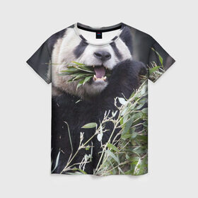 Женская футболка 3D с принтом Панда кушает в Санкт-Петербурге, 100% полиэфир ( синтетическое хлопкоподобное полотно) | прямой крой, круглый вырез горловины, длина до линии бедер | бамбук | животное | медведь