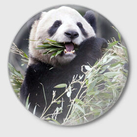Значок с принтом Панда кушает в Санкт-Петербурге,  металл | круглая форма, металлическая застежка в виде булавки | бамбук | животное | медведь