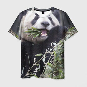 Мужская футболка 3D с принтом Панда кушает в Санкт-Петербурге, 100% полиэфир | прямой крой, круглый вырез горловины, длина до линии бедер | бамбук | животное | медведь
