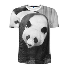 Мужская футболка 3D спортивная с принтом Панды чб фото в Санкт-Петербурге, 100% полиэстер с улучшенными характеристиками | приталенный силуэт, круглая горловина, широкие плечи, сужается к линии бедра | бамбук | животное | медведь