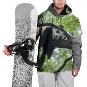 Накидка на куртку 3D с принтом Панда спит на ветке в Санкт-Петербурге, 100% полиэстер |  | Тематика изображения на принте: бамбук | животное | медведь