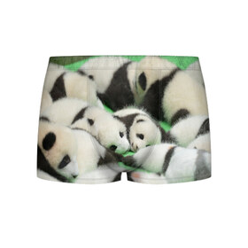 Мужские трусы 3D с принтом Новорожденные панды в Санкт-Петербурге, 50% хлопок, 50% полиэстер | классическая посадка, на поясе мягкая тканевая резинка | Тематика изображения на принте: бамбук | животное | медведь