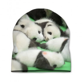 Шапка 3D с принтом Новорожденные панды в Санкт-Петербурге, 100% полиэстер | универсальный размер, печать по всей поверхности изделия | Тематика изображения на принте: бамбук | животное | медведь