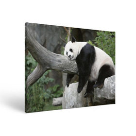 Холст прямоугольный с принтом Большая уставшая панда в Санкт-Петербурге, 100% ПВХ |  | бамбук | животное | медведь