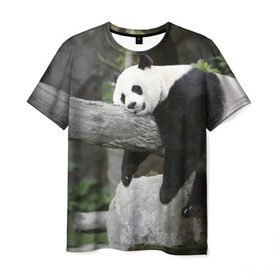 Мужская футболка 3D с принтом Большая уставшая панда в Санкт-Петербурге, 100% полиэфир | прямой крой, круглый вырез горловины, длина до линии бедер | бамбук | животное | медведь