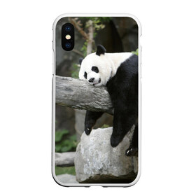 Чехол для iPhone XS Max матовый с принтом Большая уставшая панда в Санкт-Петербурге, Силикон | Область печати: задняя сторона чехла, без боковых панелей | Тематика изображения на принте: бамбук | животное | медведь
