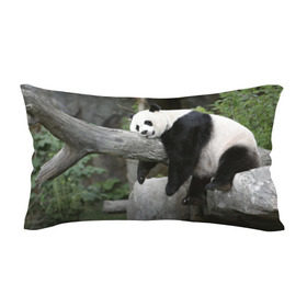 Подушка 3D антистресс с принтом Большая уставшая панда в Санкт-Петербурге, наволочка — 100% полиэстер, наполнитель — вспененный полистирол | состоит из подушки и наволочки на молнии | Тематика изображения на принте: бамбук | животное | медведь