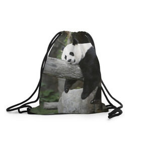 Рюкзак-мешок 3D с принтом Большая уставшая панда в Санкт-Петербурге, 100% полиэстер | плотность ткани — 200 г/м2, размер — 35 х 45 см; лямки — толстые шнурки, застежка на шнуровке, без карманов и подкладки | бамбук | животное | медведь