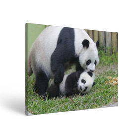 Холст прямоугольный с принтом Мамочка и сыночек панды в Санкт-Петербурге, 100% ПВХ |  | Тематика изображения на принте: бамбук | животное | медведь