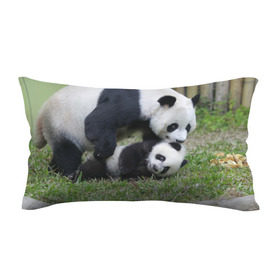 Подушка 3D антистресс с принтом Мамочка и сыночек панды в Санкт-Петербурге, наволочка — 100% полиэстер, наполнитель — вспененный полистирол | состоит из подушки и наволочки на молнии | бамбук | животное | медведь