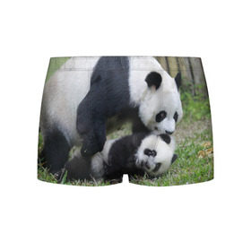 Мужские трусы 3D с принтом Мамочка и сыночек панды в Санкт-Петербурге, 50% хлопок, 50% полиэстер | классическая посадка, на поясе мягкая тканевая резинка | бамбук | животное | медведь