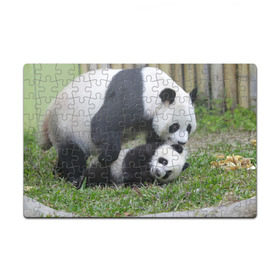 Пазл магнитный 126 элементов с принтом Мамочка и сыночек панды в Санкт-Петербурге, полимерный материал с магнитным слоем | 126 деталей, размер изделия —  180*270 мм | бамбук | животное | медведь