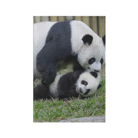 Обложка для паспорта матовая кожа с принтом Мамочка и сыночек панды в Санкт-Петербурге, натуральная матовая кожа | размер 19,3 х 13,7 см; прозрачные пластиковые крепления | бамбук | животное | медведь