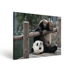 Холст прямоугольный с принтом Паркур панда в Санкт-Петербурге, 100% ПВХ |  | бамбук | животное | медведь