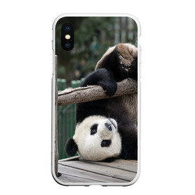 Чехол для iPhone XS Max матовый с принтом Паркур панда в Санкт-Петербурге, Силикон | Область печати: задняя сторона чехла, без боковых панелей | Тематика изображения на принте: бамбук | животное | медведь