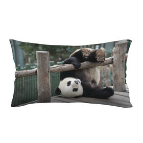 Подушка 3D антистресс с принтом Паркур панда в Санкт-Петербурге, наволочка — 100% полиэстер, наполнитель — вспененный полистирол | состоит из подушки и наволочки на молнии | Тематика изображения на принте: бамбук | животное | медведь