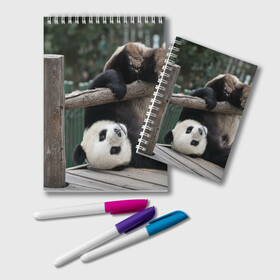 Блокнот с принтом Паркур панда в Санкт-Петербурге, 100% бумага | 48 листов, плотность листов — 60 г/м2, плотность картонной обложки — 250 г/м2. Листы скреплены удобной пружинной спиралью. Цвет линий — светло-серый
 | Тематика изображения на принте: бамбук | животное | медведь