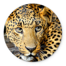 Коврик круглый с принтом Леопард в Санкт-Петербурге, резина и полиэстер | круглая форма, изображение наносится на всю лицевую часть | Тематика изображения на принте: властелин | глаз | грация | животные | зверь | кот | кошачий | кошки | крупный | леопард | лес | млекопитающее | природа | пятна | рыжий | усатый | усы | фауна | флора | хищник | хозяин | царь джунгли