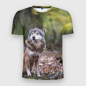 Мужская футболка 3D спортивная с принтом Серый волк в Санкт-Петербурге, 100% полиэстер с улучшенными характеристиками | приталенный силуэт, круглая горловина, широкие плечи, сужается к линии бедра | бирюк | волк | волчара | волчица | волчок | глаза | животное | животные | зверь | зеленые | койот | лес | млекопитающее | природа | санитар леса | серый | уши | фауна | хищник | черный | шакал