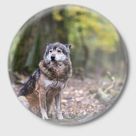 Значок с принтом Серый волк в Санкт-Петербурге,  металл | круглая форма, металлическая застежка в виде булавки | бирюк | волк | волчара | волчица | волчок | глаза | животное | животные | зверь | зеленые | койот | лес | млекопитающее | природа | санитар леса | серый | уши | фауна | хищник | черный | шакал