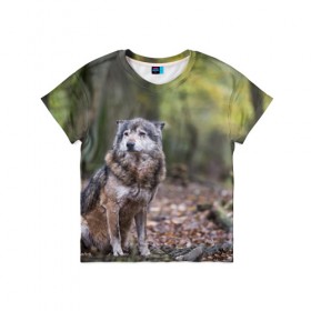 Детская футболка 3D с принтом Серый волк в Санкт-Петербурге, 100% гипоаллергенный полиэфир | прямой крой, круглый вырез горловины, длина до линии бедер, чуть спущенное плечо, ткань немного тянется | Тематика изображения на принте: бирюк | волк | волчара | волчица | волчок | глаза | животное | животные | зверь | зеленые | койот | лес | млекопитающее | природа | санитар леса | серый | уши | фауна | хищник | черный | шакал
