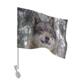 Флаг для автомобиля с принтом Серый волк в Санкт-Петербурге, 100% полиэстер | Размер: 30*21 см | бирюк | волк | волчара | волчица | волчок | глаза | животное | животные | зверь | зеленые | койот | лес | млекопитающее | природа | санитар леса | серый | уши | фауна | хищник | черный | шакал