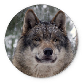 Коврик круглый с принтом Серый волк в Санкт-Петербурге, резина и полиэстер | круглая форма, изображение наносится на всю лицевую часть | бирюк | волк | волчара | волчица | волчок | глаза | животное | животные | зверь | зеленые | койот | лес | млекопитающее | природа | санитар леса | серый | уши | фауна | хищник | черный | шакал