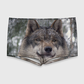 Мужские купальные плавки 3D с принтом Серый волк в Санкт-Петербурге, Полиэстер 85%, Спандекс 15% |  | бирюк | волк | волчара | волчица | волчок | глаза | животное | животные | зверь | зеленые | койот | лес | млекопитающее | природа | санитар леса | серый | уши | фауна | хищник | черный | шакал