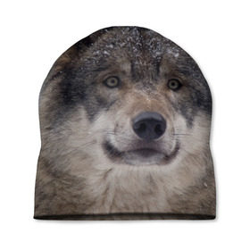 Шапка 3D с принтом Серый волк в Санкт-Петербурге, 100% полиэстер | универсальный размер, печать по всей поверхности изделия | бирюк | волк | волчара | волчица | волчок | глаза | животное | животные | зверь | зеленые | койот | лес | млекопитающее | природа | санитар леса | серый | уши | фауна | хищник | черный | шакал
