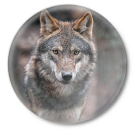 Значок с принтом Волк - санитар леса в Санкт-Петербурге,  металл | круглая форма, металлическая застежка в виде булавки | серый