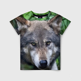 Детская футболка 3D с принтом Хищник в Санкт-Петербурге, 100% гипоаллергенный полиэфир | прямой крой, круглый вырез горловины, длина до линии бедер, чуть спущенное плечо, ткань немного тянется | аука | бирюк | волк | волчара | волчица | волчок | глаза | животное | животные | зверь | зеленые | койот | лес | млекопитающее | природа | санитар леса | серый | уши | фауна | хищник | черный | шакал