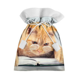 Подарочный 3D мешок с принтом Кот ученый в Санкт-Петербурге, 100% полиэстер | Размер: 29*39 см | грустный | добрый | животное | киса | киска | кот | котенок | котэ | кошка | красивый | лапа | лапка | ласковый | милый | очки | прикольный | рыжий | смешной | унылый | усатый | шерсть