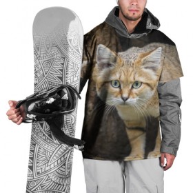 Накидка на куртку 3D с принтом Песчаный кот в Санкт-Петербурге, 100% полиэстер |  | грустный | добрый | животное | киса | киска кися | кот | котенок | котэ | кошка | красивый | лапа | лапка | ласковый | милый | моська | мурлыка | прикольный | смешной | унылый | усатый | шерсть
