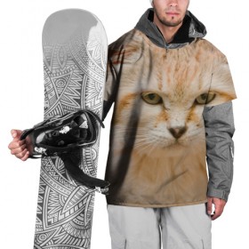 Накидка на куртку 3D с принтом Рыжий кот в Санкт-Петербурге, 100% полиэстер |  | грустный | добрый | животное | киса | киска кися | кот | котенок | котэ | кошка | красивый | лапа | лапка | ласковый | милый | моська | мурлыка | прикольный | смешной | унылый | усатый | шерсть