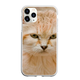 Чехол для iPhone 11 Pro матовый с принтом Рыжий кот в Санкт-Петербурге, Силикон |  | грустный | добрый | животное | киса | киска кися | кот | котенок | котэ | кошка | красивый | лапа | лапка | ласковый | милый | моська | мурлыка | прикольный | смешной | унылый | усатый | шерсть